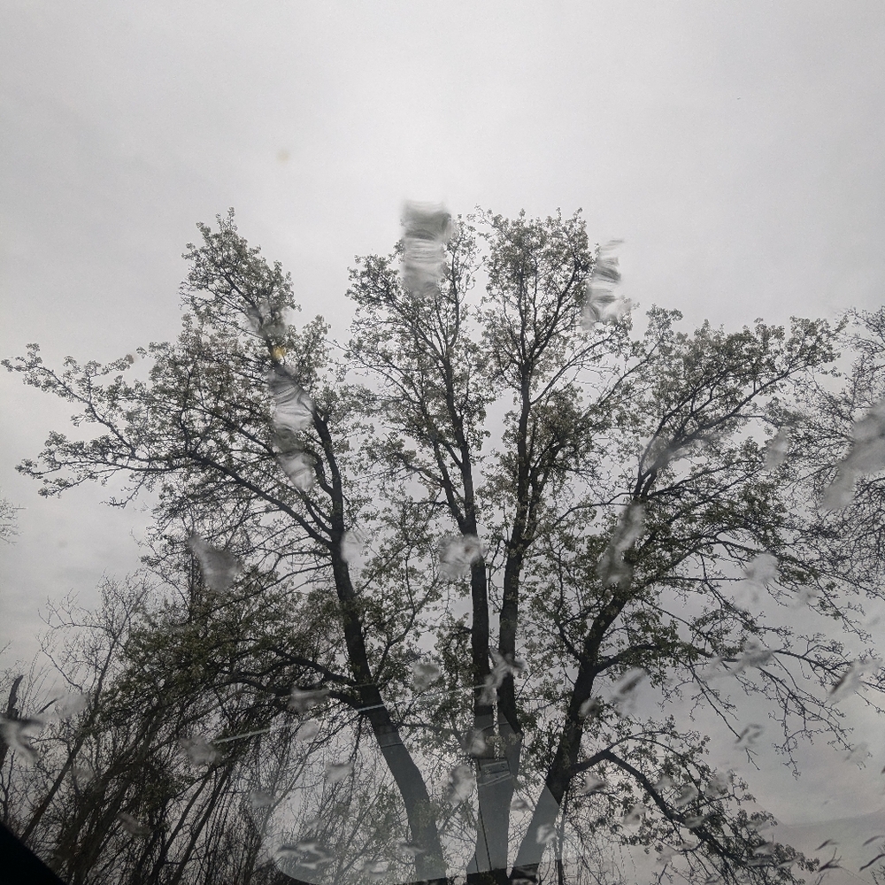 New or Good As New Items